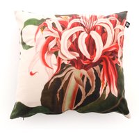 + 15 % Kassenrabatt | Hartman Dekokissen 45x45 cm Rabatt: 32 % Unkategorisiert online kaufen