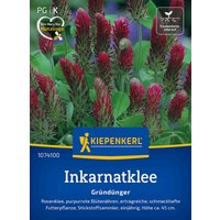 Kiepenkerl Inkarnatklee - 1 Pkg Unkategorisiert online kaufen