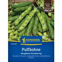 Kiepenkerl Puffbohne Hangdown Grünkernig - 1 Pkg Unkategorisiert online kaufen