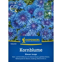 Kiepenkerl Kornblume Blauer Junge - 1 Pkg Unkategorisiert online kaufen