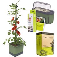 Gusta Garden Tomaten Starter-Set, Pflanzgefäß, Mini-Gewächshaus, Kokosquelltöpfen, Samen-Mix und Erde Unkategorisiert online kaufen Gusta Garden Tomaten Starter-Set, Pflanzgefäß, Mini-Gewächshaus, Kokosquelltöpfen, Samen-Mix und Erde Unkategorisiert online kaufen