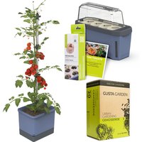 Gusta Garden Tomaten Starter-Set, Pflanzgefäß, Mini-Gewächshaus, Kokosquelltöpfen, Samen-Mix und Erde Unkategorisiert online kaufen Gusta Garden Tomaten Starter-Set, Pflanzgefäß, Mini-Gewächshaus, Kokosquelltöpfen, Samen-Mix und Erde Unkategorisiert online kaufen
