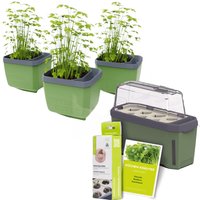 Gusta Garden Stadtkräutergarten, 3 Kräutertöpfe, Mini-Gewächshaus, Kokosquelltöpfen, Samen-Mix und Erde Unkategorisiert online kaufen Gusta Garden Stadtkräutergarten, 3 Kräutertöpfe, Mini-Gewächshaus, Kokosquelltöpfen, Samen-Mix und Erde Unkategorisiert online kaufen