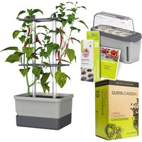 Gusta Garden Chili Starter-Set, Pflanzgefäß, Mini-Gewächshaus, Kokosquelltöpfen, Samen-Mix und Erde Unkategorisiert online kaufen Gusta Garden Chili Starter-Set, Pflanzgefäß, Mini-Gewächshaus, Kokosquelltöpfen, Samen-Mix und Erde Unkategorisiert online kaufen