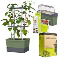 Gusta Garden Chili Starter-Set, Pflanzgefäß, Mini-Gewächshaus, Kokosquelltöpfen, Samen-Mix und Erde Unkategorisiert online kaufen Gusta Garden Chili Starter-Set, Pflanzgefäß, Mini-Gewächshaus, Kokosquelltöpfen, Samen-Mix und Erde Unkategorisiert online kaufen