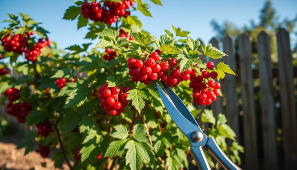 Idealer Zeitpunkt für den Schnitt
