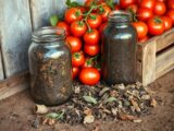 tomatendünger selber machen